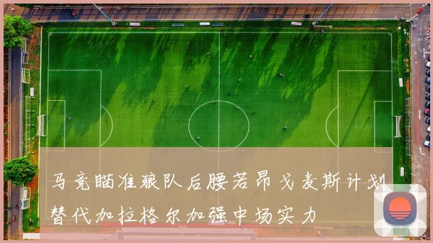 马竞瞄准狼队后腰若昂戈麦斯计划替代加拉格尔加强中场实力