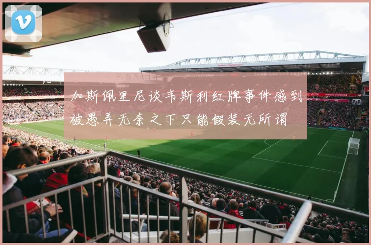 加斯佩里尼谈韦斯利红牌事件感到被愚弄无奈之下只能假装无所谓
