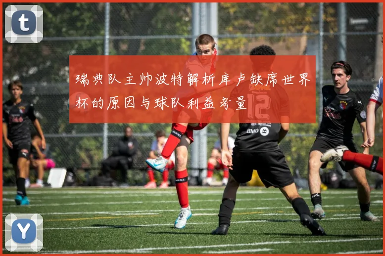 瑞典队主帅波特解析库卢缺席世界杯的原因与球队利益考量