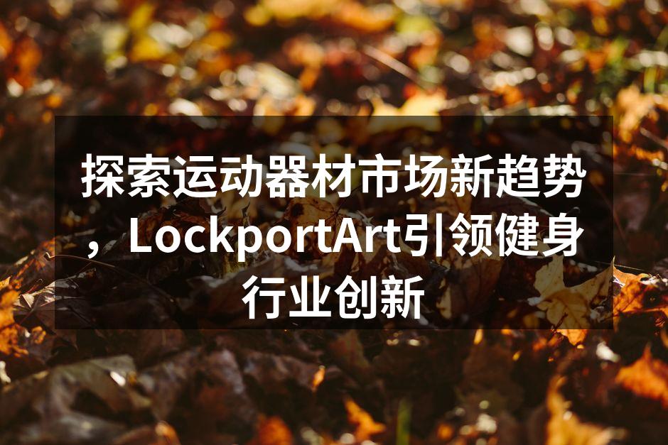 LockportArt智能健身器材展示